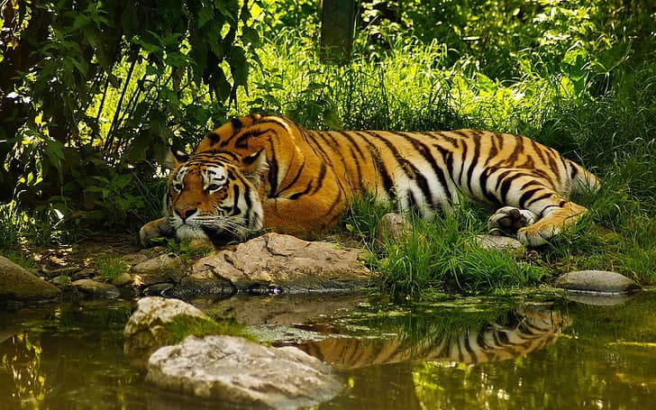 Delhi Agra Jaipur Udaipur 8 Days Tour